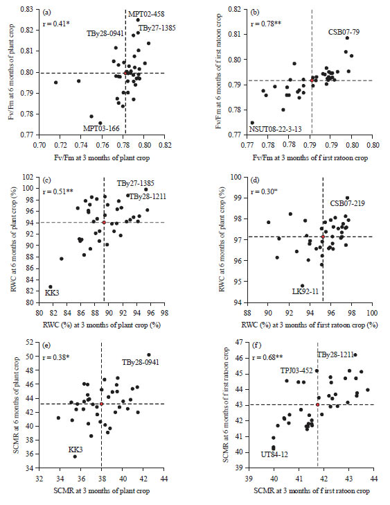 Image for - Performances of Elite Sugarcane Genotypes for Agro-physiological Traits in Relation to Yield Potential and Ratooning Ability under Rain-fed Conditions