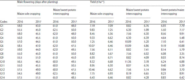 Image for - Genotype×Environment Interaction of Maize Hybrids under Intercropping With Sweet Potato in Indonesia