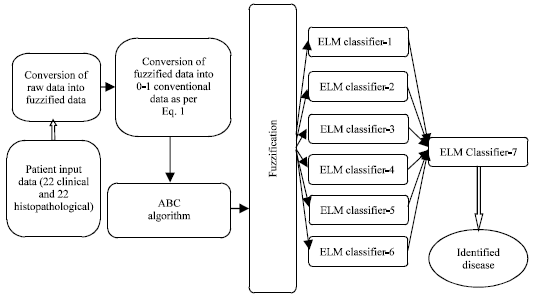 Image for - Design of Automatic Detection of Erythemato-squamous Diseases Through Threshold-based ABC-FELM Algorithm