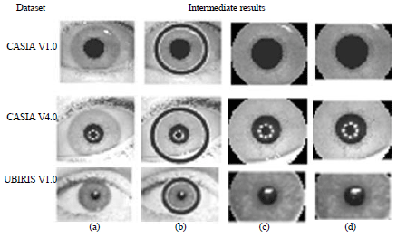 Image for - Towards Enhancing Non-Cooperative Iris Recognition using Improved Segmentation Methodology for Noisy Images