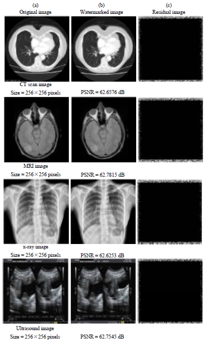 Image for - Watermarking for Content Integrity and Ownership Control of Medical Images