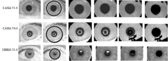 Image for - Towards Enhancing Non-Cooperative Iris Recognition using Improved Segmentation Methodology for Noisy Images