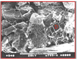 Image for - The Types of Clay Minerals in the Kongdian Formation (Upper Part), South Slope of the Dongying Depression, East China