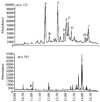 Image for - Identification of Bicyclic Sesquiterpanes in Oils from the Niger Delta, Nigeria