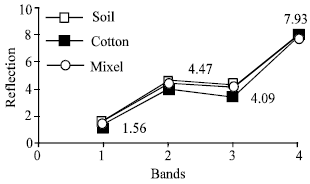 Image for - Determination of Electromagnetic Energy Reflection Characteristics of Cotton Planted Areas During the Growth by Using Satellite Images and a Portable Spectrometer