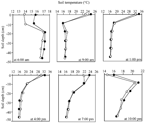 Image for - A Comparison of Estimated and Measured Diurnal Soil Temperature Through a Clay Soil Depth