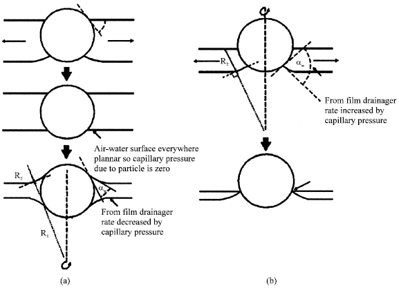 Image for - The Mechanism of Action of Antifoams