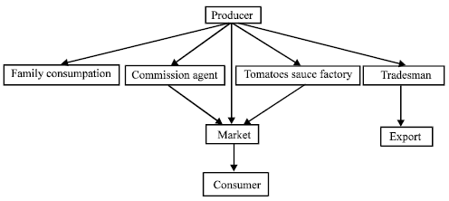 Image for - Tomatoes Production, Marketing Structure and SolutionRecommendations for Problems of Farmers: A Case Study
