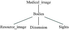 Image for - Medical Image Annotation of Patients Based on SHOE
