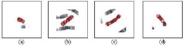 Image for - Comparison of Boundary Mapping Efficiency of Gradient Vector Flow Active Contours and their Variants on Chromosome Spread Images