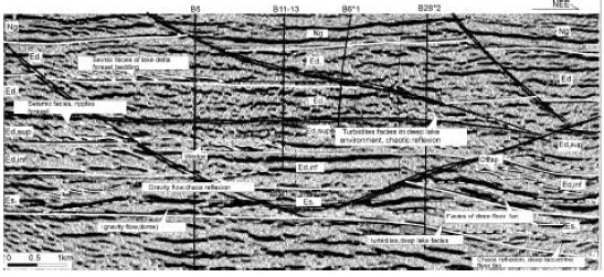 Image for - Depositional Systems of Nanpu Depression and its Petroleum Potential