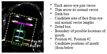 Image for - Detection of Pose and Scale Variant Human Faces in Color and Gray Images
