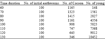 Image for - Earthworm Ecology in the Northern Part of Iran: With an Emphasis on CompostWorm Eisenia fetida