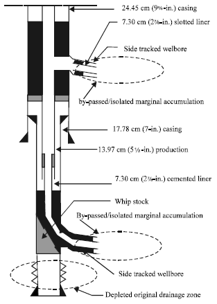 Image for - Limit of Through-tubing Rotary Drilling (TTRD) Well Completion
