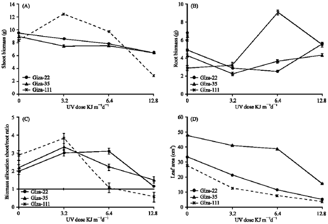 Image for - Phenylpropanoid and Isopropanoid Enhance Tolerance to Increased Levels of UVA+B Radiation in Three Cultivars of Soybean (Glycine max) Seedlings