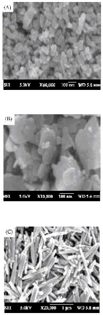 Image for - The Effect of PVP Addition and Heat-treatment Duration on Zinc Oxide Nanoparticles