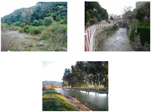 Image for - Understanding the Effects of Historic Land Use Pattern on an Urbanized Stream Corridor
