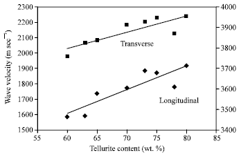 Image for - Synthesis and Elastic Behaviour of Borate Glass Doped with High Tellurite Content