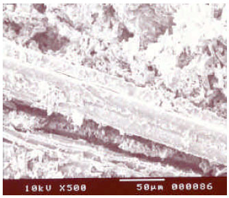 Image for - Use of Sunflower Stalk and Pumice in Gypsum Composites to Improve Thermal Properties
