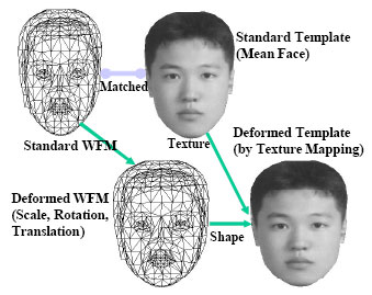 Image for - Fast Template-based Face Detection Algorithm Using Quad-tree Template
