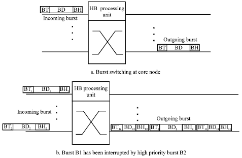 Image for - Labeled Burst Switching