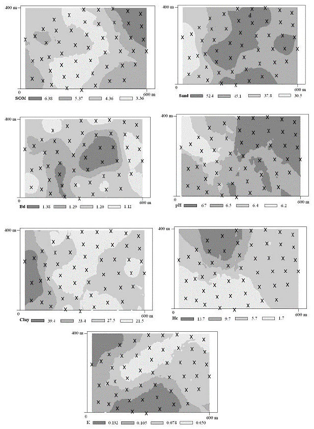 Image for - Spatial Variability of Organic Matter and Some Soil Properties of Mineral Topsoil in Cankiri Indagi Blackpine (Pinus nigra) Plantation Region