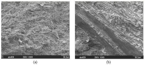 Image for - Investigation of Microstructure and Impact Toughness of Semisolid Hypereutectic High Chromium Cast Iron Prepared by Slope Cooling Body Method