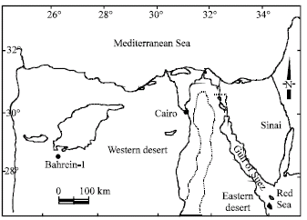 Image for - Palynostratigraphic Studies of the Lower Cretaceous Sediments,Alamein Formation, Bahrein-1Well in the Northern Part of the Western Desert, Egypt