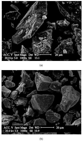 Image for - Reduction Remediation of Hexavalent Chromium by Pyrite in the Aqueous Phase