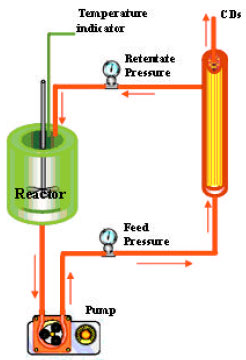 Image for - Development of Enzymatic Membrane Reactor (EMR) for Cyclodextrins Production