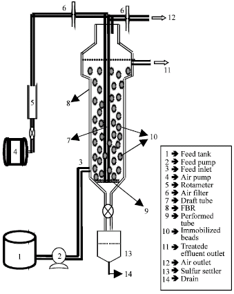 Image for - Continuous Operation of Fluidized Bed Bioreactor for Biogenic Sulfide Oxidation Using Immobilized Cells of Thiobacillus sp.