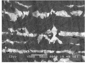 Image for - Brittle Fracture Validation Through Crystallographic Deformation for the Characterization of Cleavage in Carbon Steel