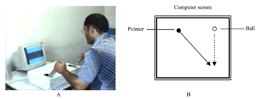 Image for - Effect of Attention of Focus Feedback on Error-Detection Capability in Bimanual Coordination Task