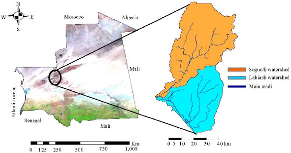 Image for - Analytical Hierarchic Process in Conjunction with GIS for Identification of Suitable Sites for Water Harvesting in the Oasis Areas: Case Study of the Oasis Zone of Adrar, Northern Mauritania