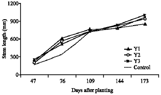 Image for - The Effects of Soil Tillage on Stem Development of Pepper plant