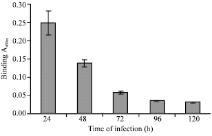 Image for - Baculovirus Coinfection Strategy for Improved Galactosylation of Recombinant Glycoprotein Produced by Insect Cell Culture