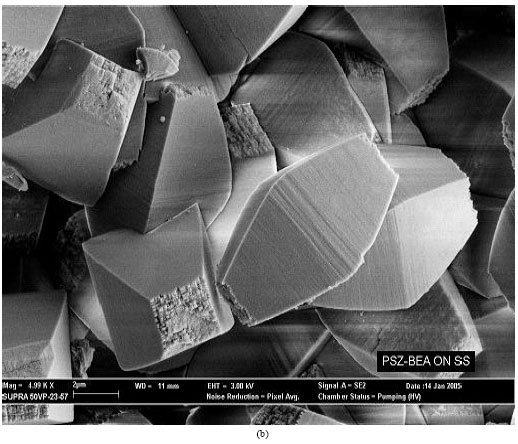 Image for - Pure Silica Zeolite Beta Membrane: A Potential Low Dielectric Constant Material For Microprocessor Application