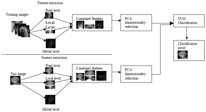 Image for - Multilevel Feature Extraction and X-ray Image Classification