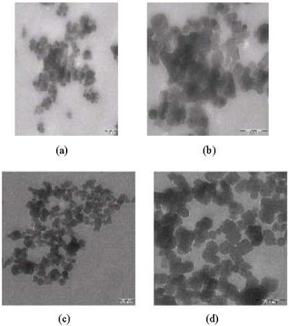 Image for - Encapsulation Method for CaCO3 Nanoparticles