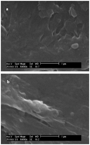 Image for - Investigation of Mechanical, Thermal and Chemical Properties of HDPE/PEG/OMT Nanocomposites