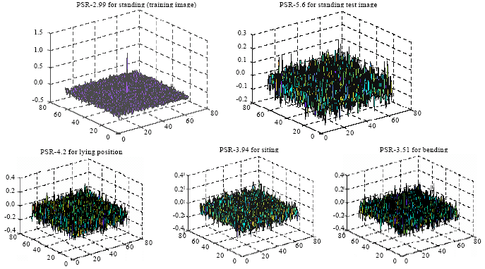 Image for - On The Use of Advanced Correlation Filters for Human Posture Recognition