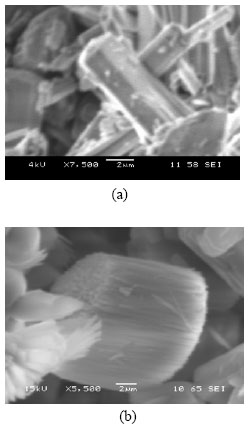 Image for - Elaboration and Characterization of High Silica ZSM-5 and Mordenite 
        Solid Microporous Materials