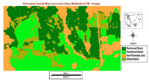 Image for - Up to Date Mapping of Reforested Area Using Multi-Dates ETM+Data