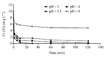 Image for - Reduction Remediation of Hexavalent Chromium by Pyrite in the Aqueous Phase
