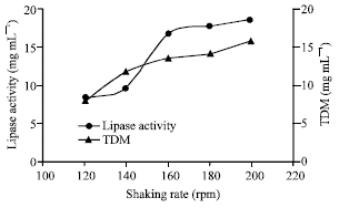 Image for - Optimization of Lipase Production by a Rhizopus MR12 in Shake Culture