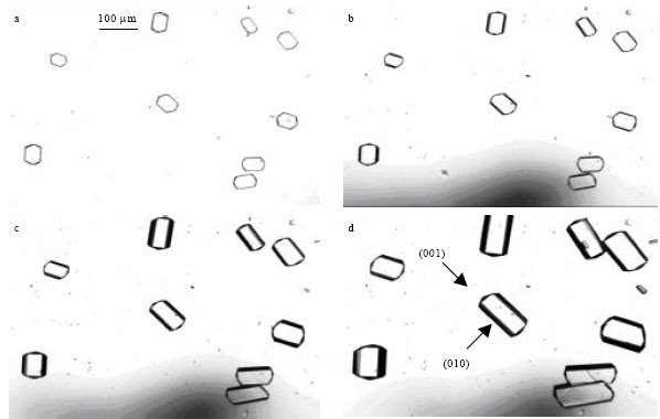 Image for - Effect of Cetyltrimethylammonium Bromide (CTAB) on the Growth Rate and Morphology of Borax Crystals