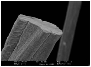 Image for - Gum Tragacanth Fibers from Astragalus gummifer Species: Effects of Influencing Factors on Mechanical Properties of Fibers