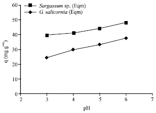 Image for - Evaluation of the Marine Algae Gracilaria salicornia and Sargassum sp. For the Biosorption of Cr (VI) from Aqueous Solutions