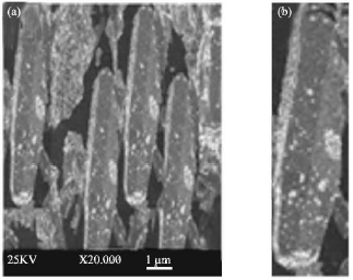 Image for - Formation and Photoluminescence of Zinc Sulfide Nanorods