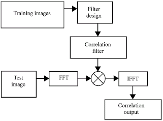 Image for - A UMACE Filter Approach to Lipreading in Biometric Authentication System